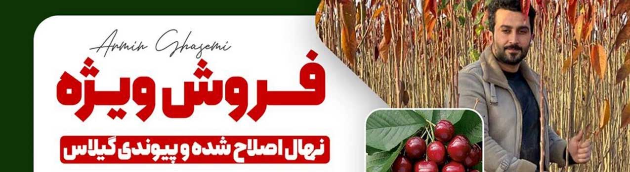 بهترین روش احداث باغ گیلاس