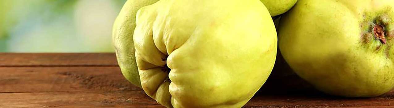 کاشت و مراقبت از نهال به