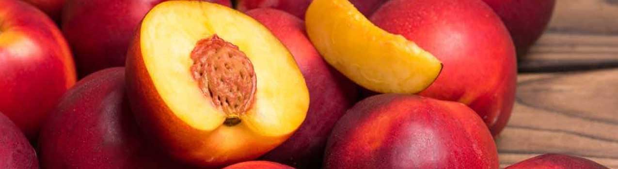 بهترین روش‌ها برای تکثیر نهال شلیل