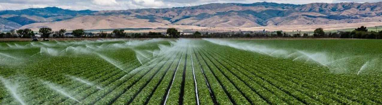 اصول آبیاری نوین در کشاورزی؛ روشهای قطرهای، بارانی و زیرسطحی برای صرفهجویی در مصرف آب