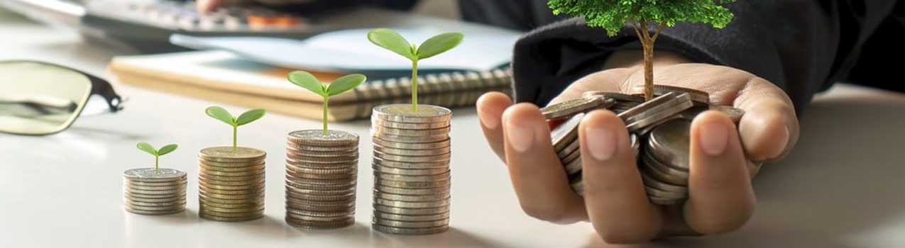 ترفندهای پول‌ساز در فروش نهال؛ چطور خریدار رو به مشتری دائمی تبدیل کنیم؟