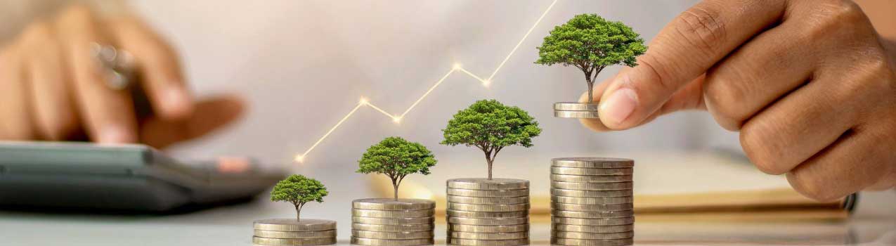 ترفندهای پول‌ساز در فروش نهال؛ چطور خریدار رو به مشتری دائمی تبدیل کنیم؟