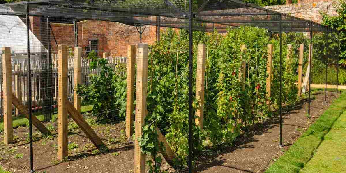 مراحل احداث باغ میوه؛ نکاتی که هر باغدار باید بداند