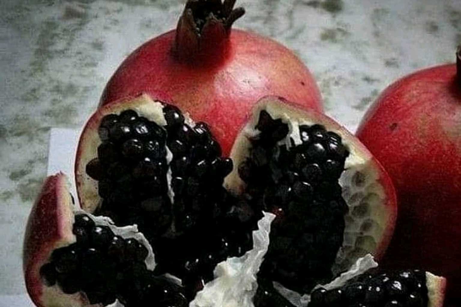 بررسی تاثیر شوری خاک بر رشد نهال انار - راهکارهای مقابله با شوری برای برداشت بهتر