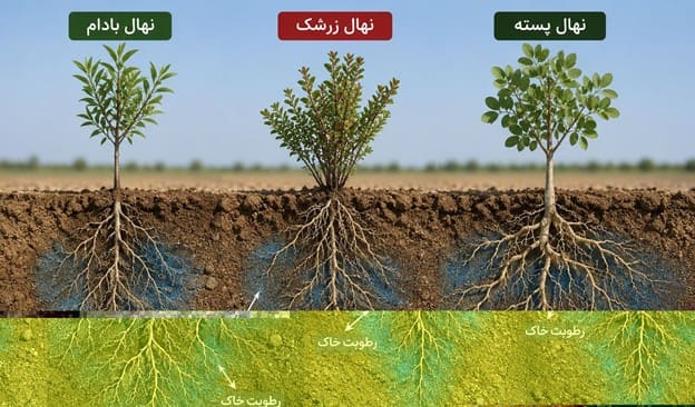 معرفی درختان مقاوم به کم آبی و راهکارهای مقابله با کم آبی و مدیریت مصرف آب