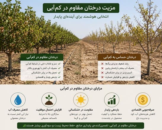 معرفی درختان مقاوم به کم آبی و راهکارهای مقابله با کم آبی و مدیریت مصرف آب
