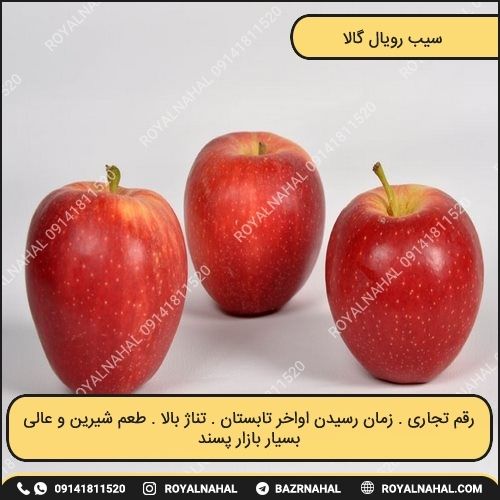 عکس (تصاویر) نهال سیب