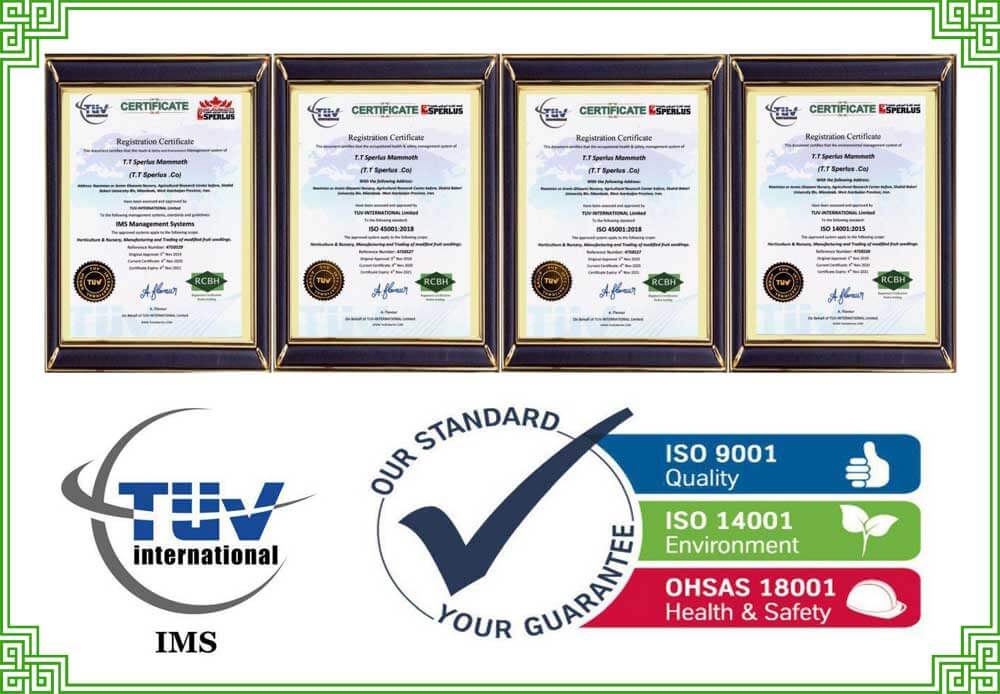 گواهی نامه ISO سیستم مدیریت یکپارچه IMS از کمپانی HCBH آلمان